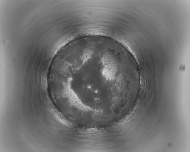 X0000094180390200711021010