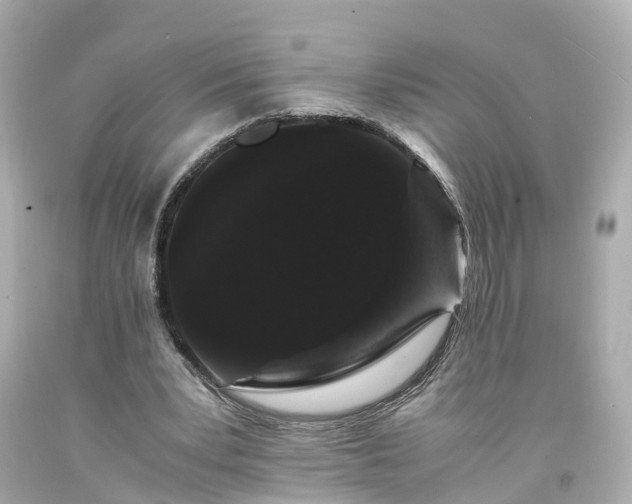 X0000094180391200711021010