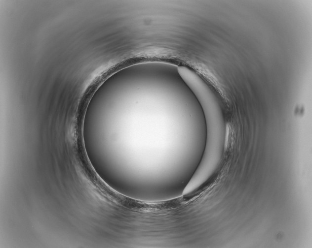 X0000094180392200711021010