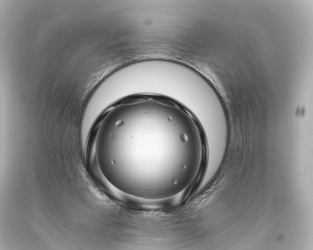 X0000094180393200711021010
