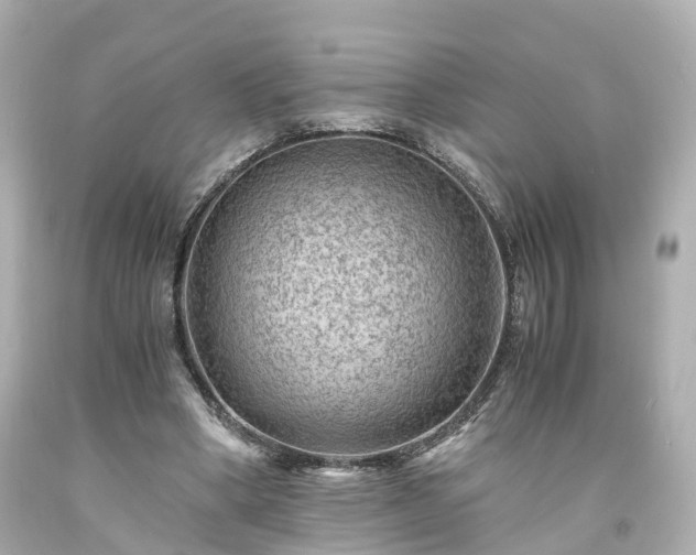 X0000094180394200711021010