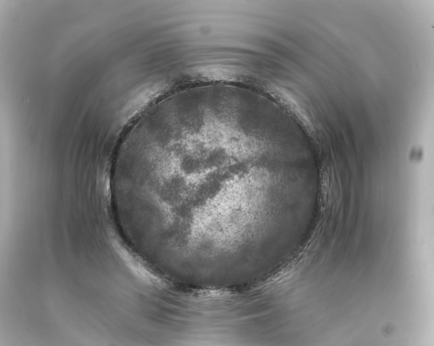 X0000094180398200711021010
