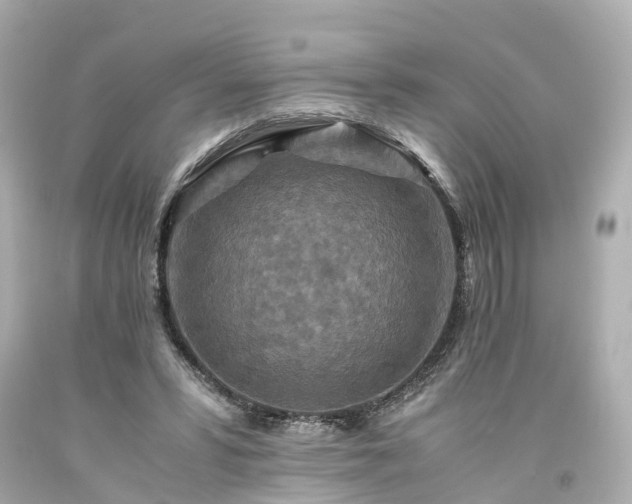 X0000094180399200711021010