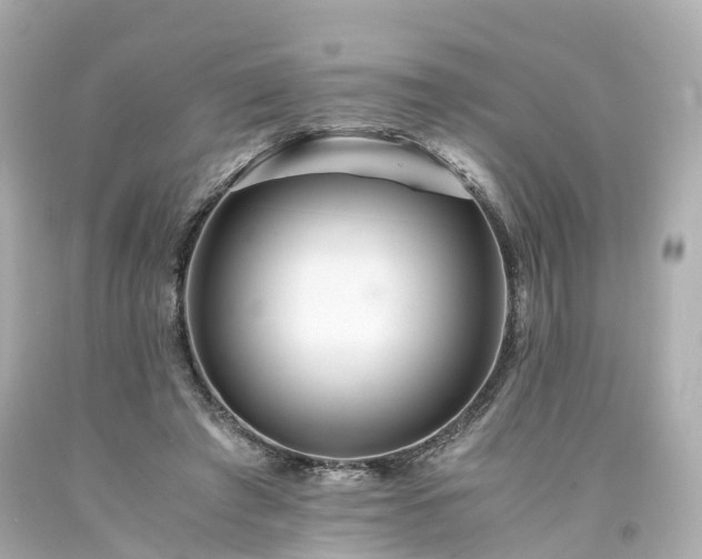 X0000094180401200711021010