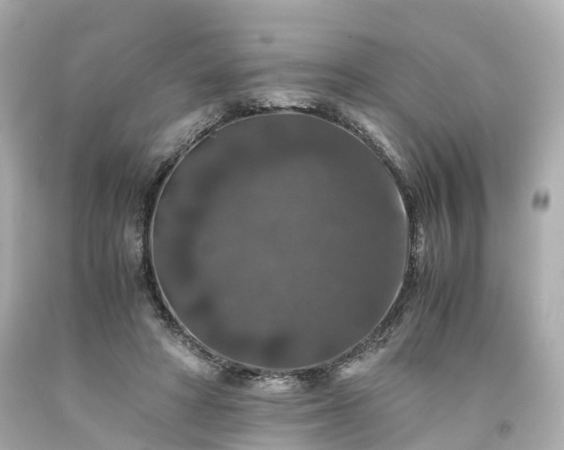 X0000094180402200711021010