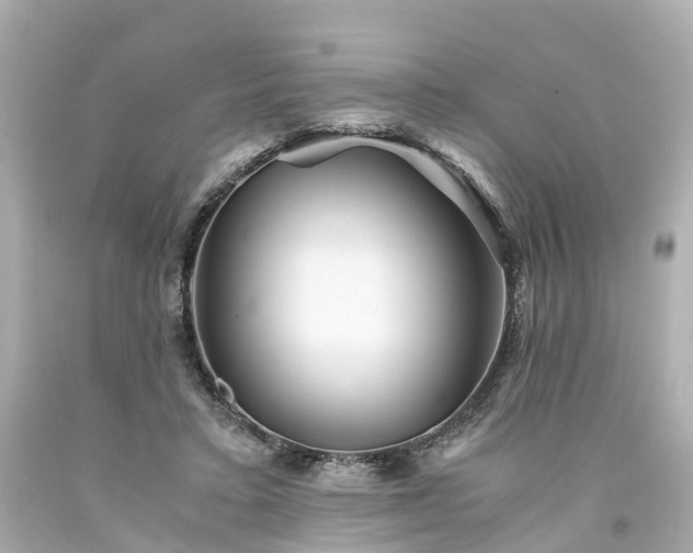 X0000094180403200711021010