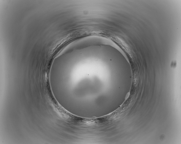 X0000094180405200711021010