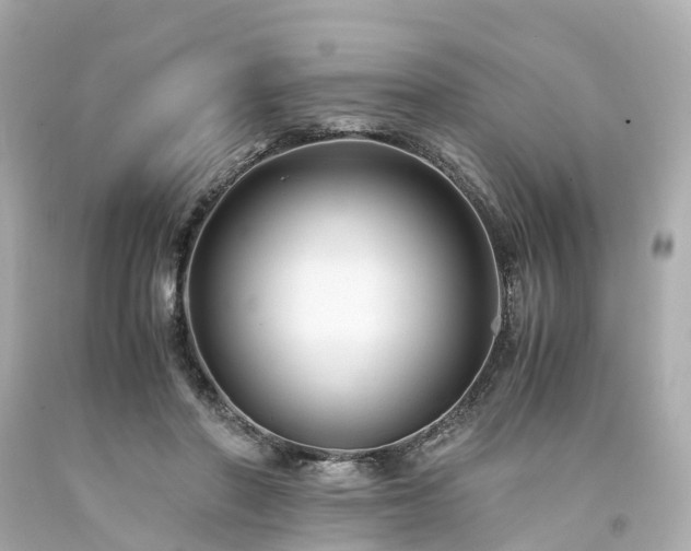 X0000094180406200711021010