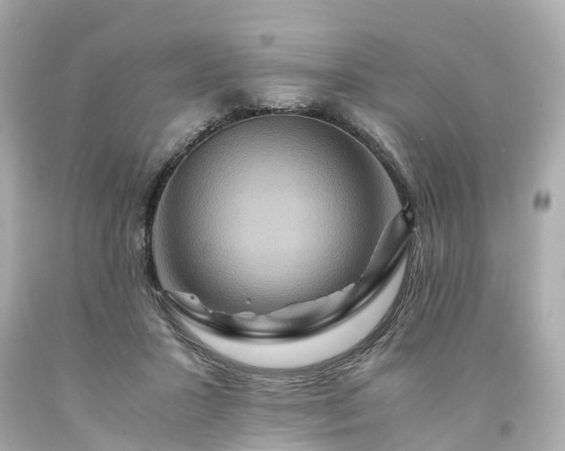 X0000094180407200711021010