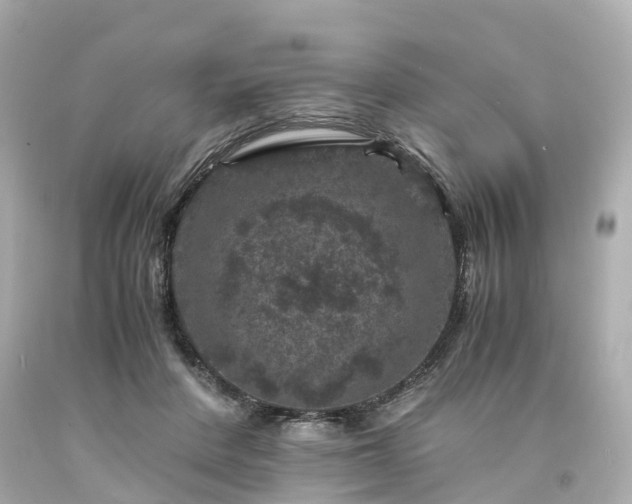 X0000094180408200711021010