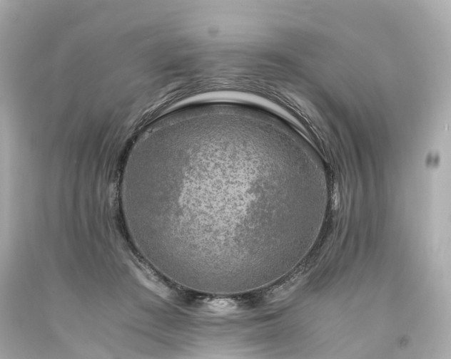 X0000094180409200711021010