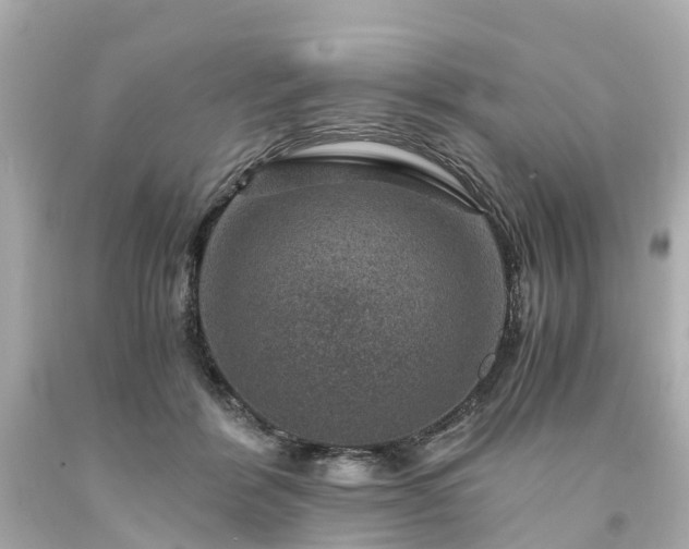 X0000094180412200711021010