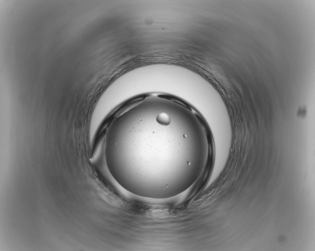 X0000094180413200711021010