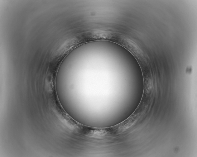 X0000094180414200711021010