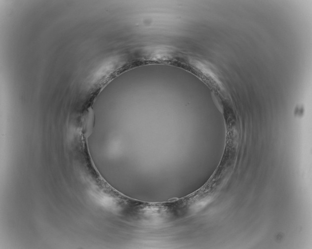 X0000094180415200711021010