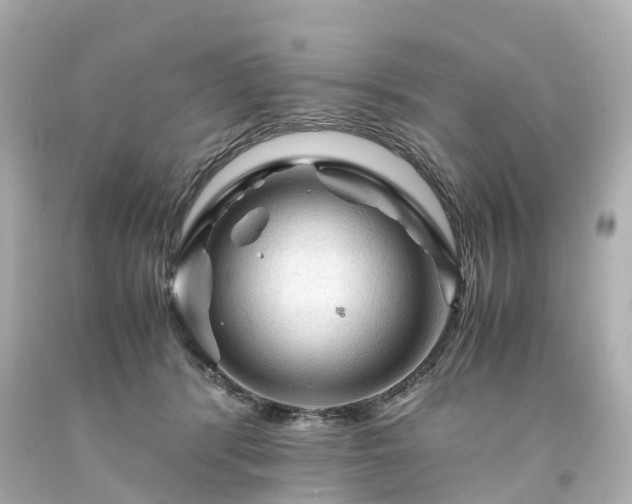 X0000094180416200711021010