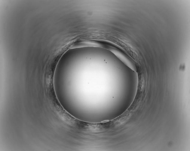 X0000094180417200711021010