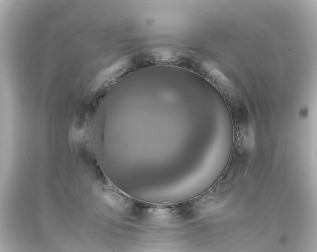 X0000094180419200711021009