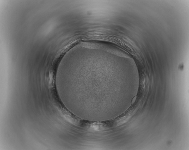 X0000094180420200711021009