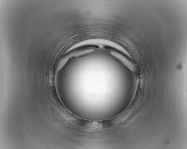 X0000094180421200711021009