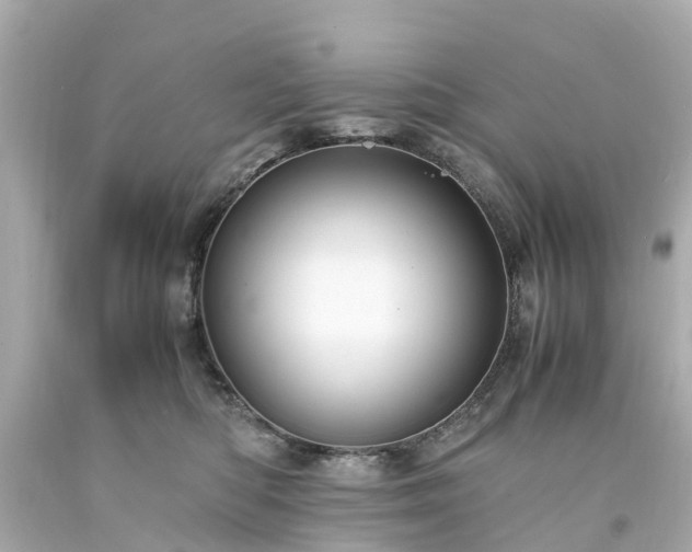 X0000094180422200711021009