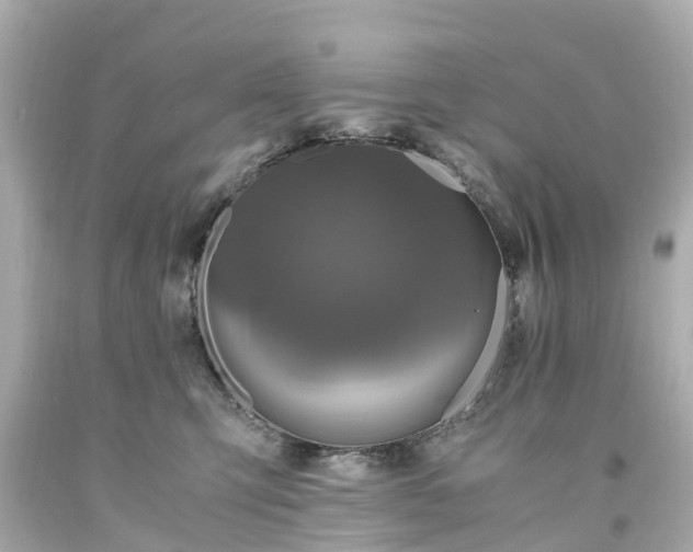 X0000094180423200711021009