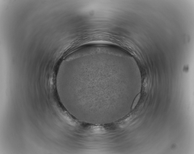 X0000094180424200711021009