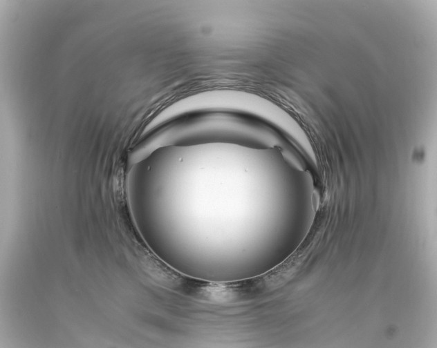 X0000094180425200711021009