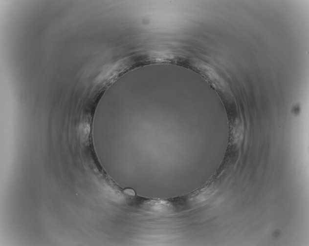 X0000094180427200711021009