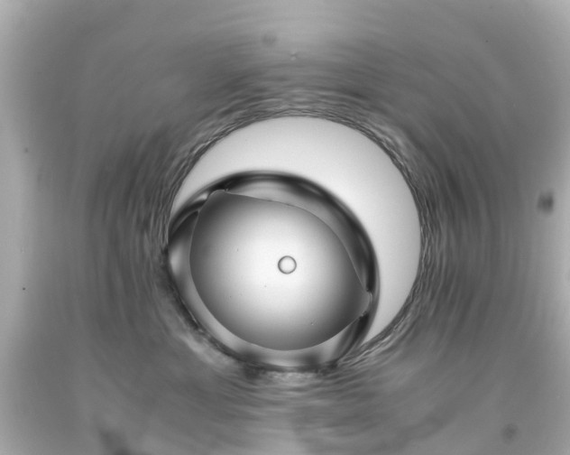 X0000094180429200711021009