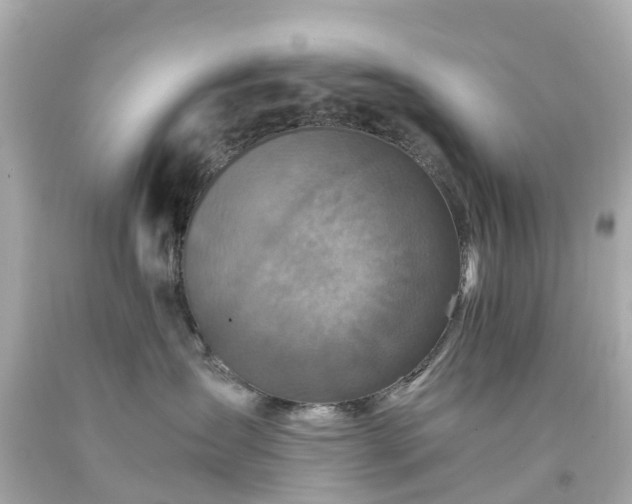 X0000094180431200711021009