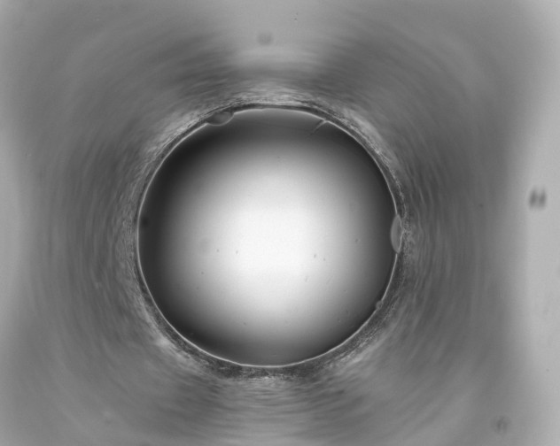 X0000094180433200711021009