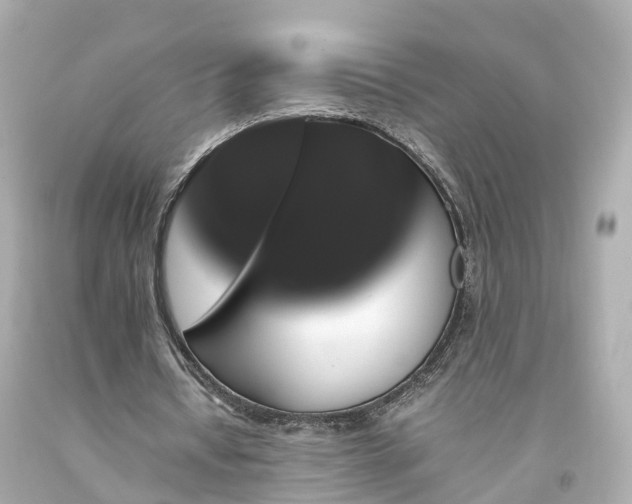 X0000094180434200711021009