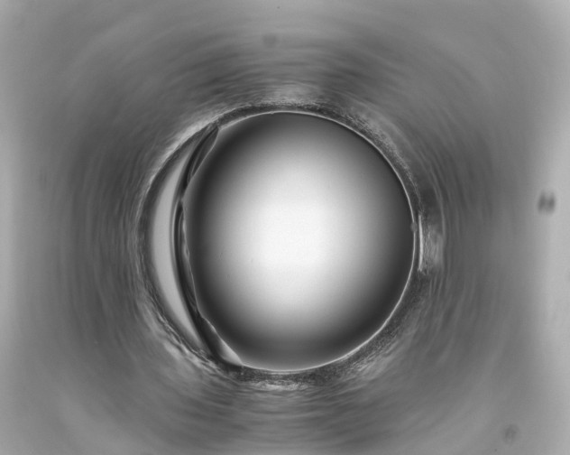 X0000094180435200711021009