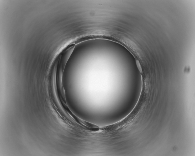 X0000094180436200711021009