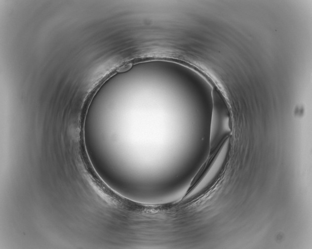 X0000094180437200711021009
