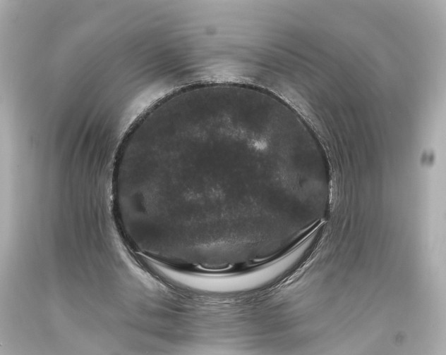 X0000094180438200711021009