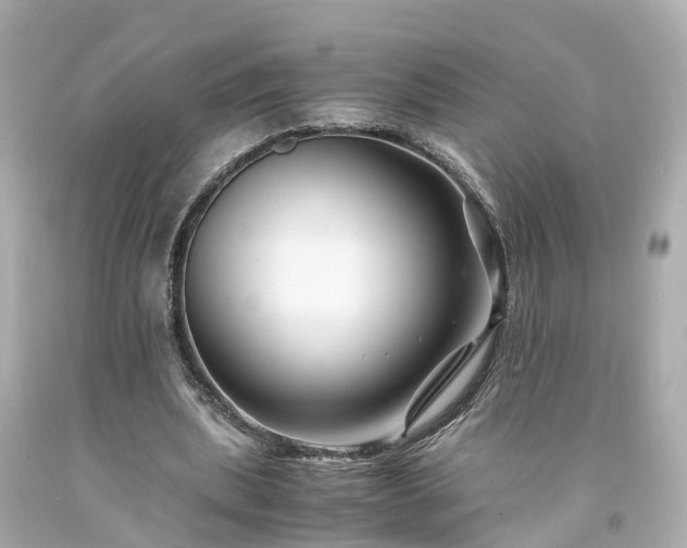 X0000094180439200711021009