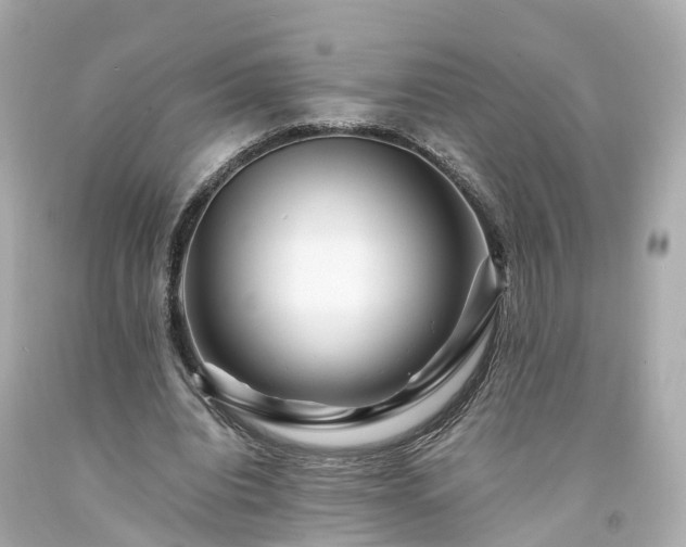 X0000094180440200711021009