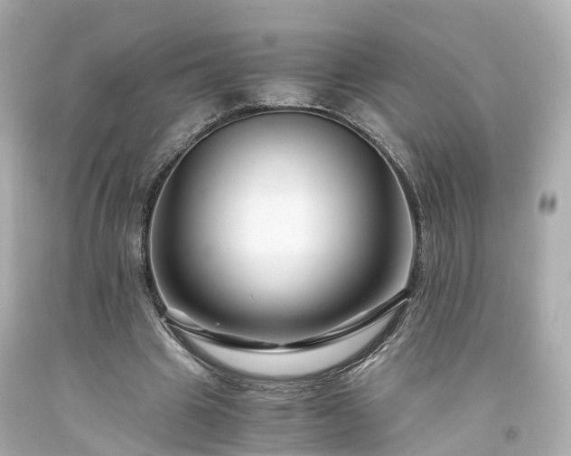 X0000094180441200711021009