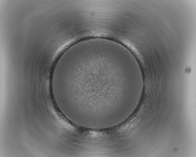 X0000094180442200711021009