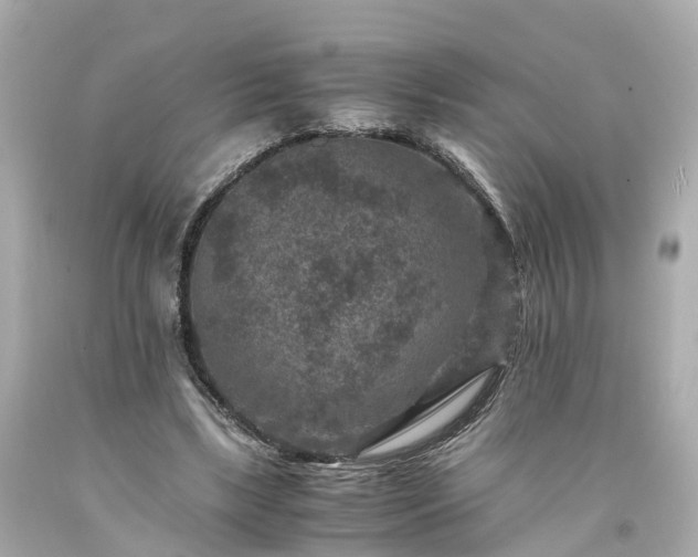 X0000094180443200711021009
