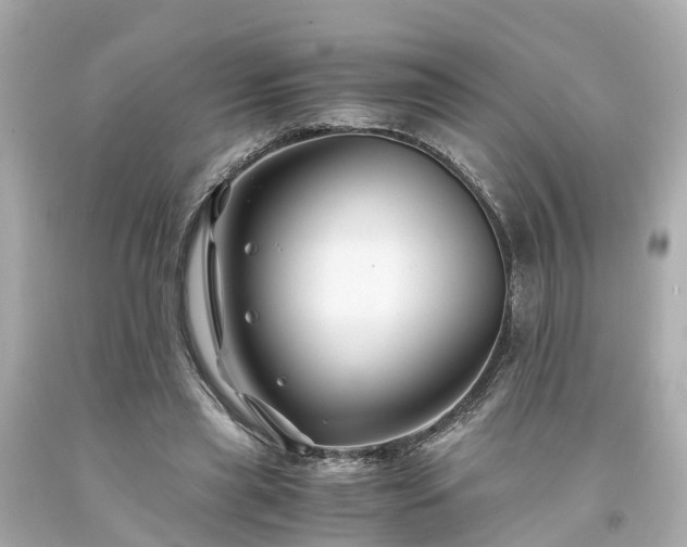 X0000094180445200711021009
