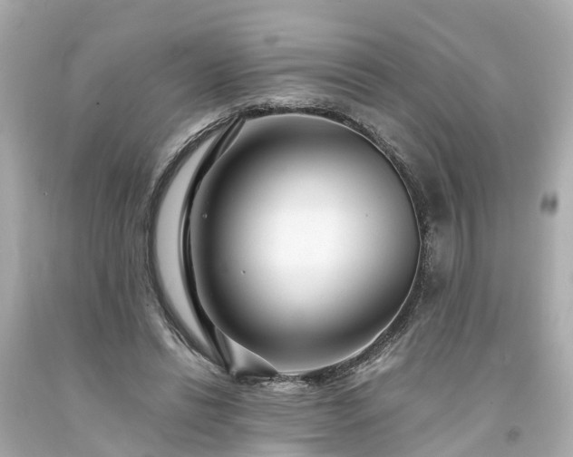 X0000094180446200711021009