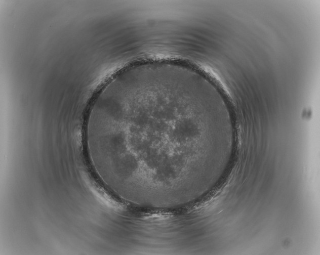 X0000094180447200711021009
