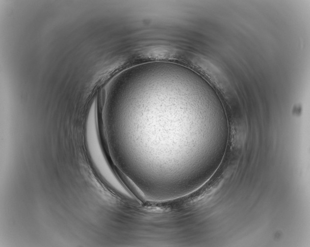 X0000094180453200711021009