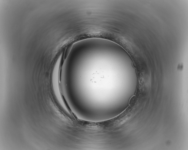 X0000094180454200711021009
