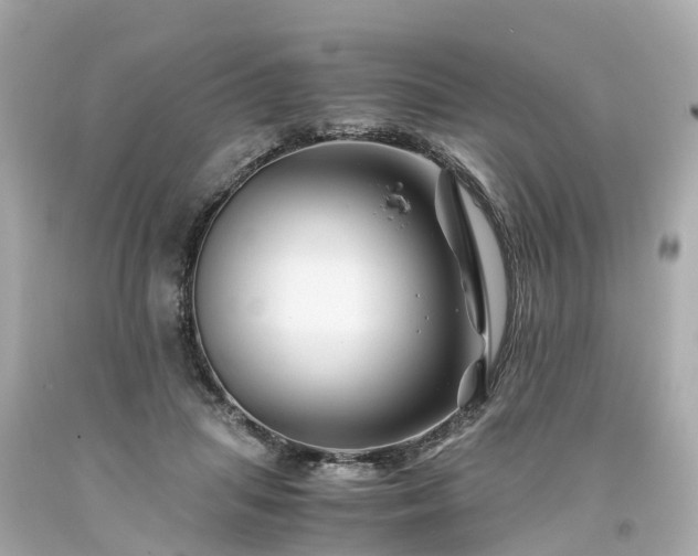 X0000094180455200711021009