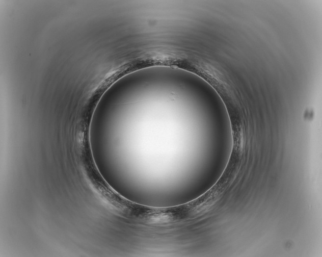 X0000094180456200711021009