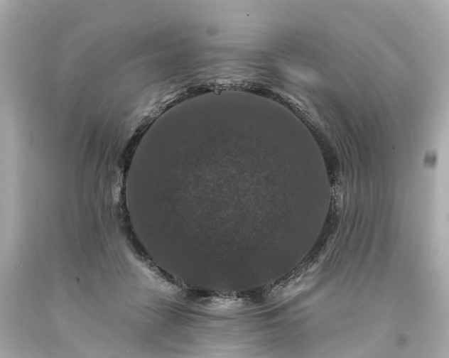 X0000094180458200711021009